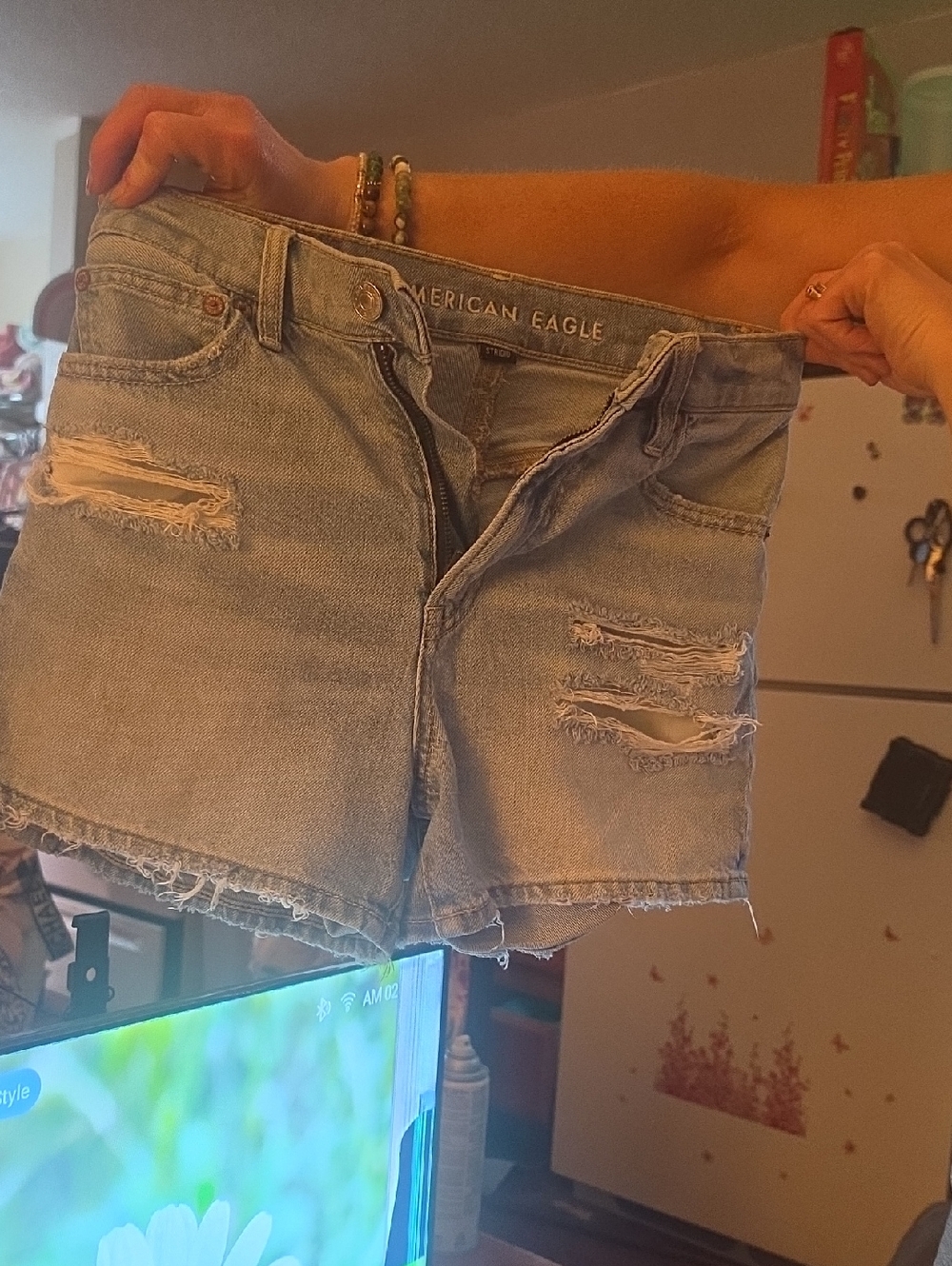 American Eagle Outfitters Light Wash Distressed Jean Shorts